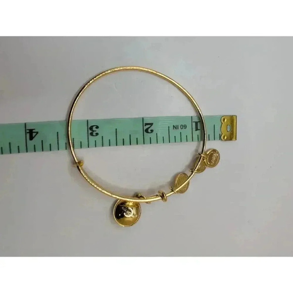 Alex And Ani February Birthstone Charm Bangle Amethyst Bracelet - Picture 4 of 4